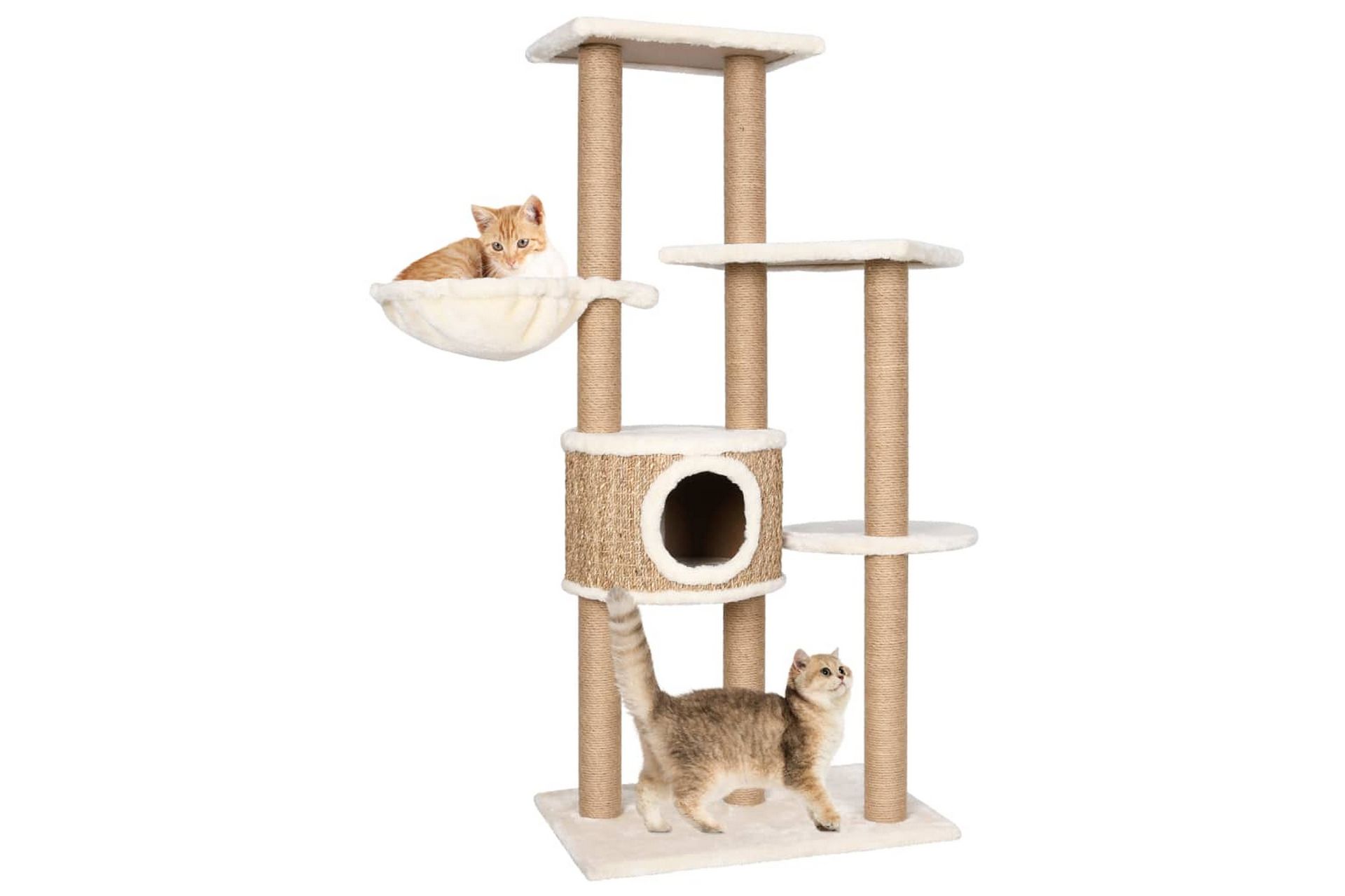 Kissan kiipeilypuu raapimispylväällä 126 cm meriheinä - Beige - Urheilu & vapaa-aika - Eläimille - Kissa - Kissojen kalusteet - Raapimispuu & kiipeilypuu