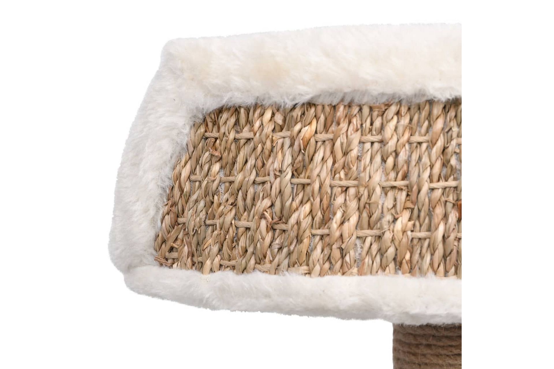 Kissan kiipeilypuu raapimispylväällä 49 cm meriheinä - Beige - Urheilu & vapaa-aika - Eläimille - Kissa - Kissojen kalusteet - Raapimispuu & kiipeilypuu