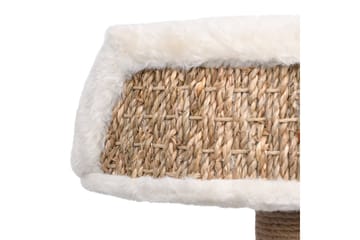 Kissan kiipeilypuu raapimispylväällä 49 cm meriheinä - Beige - Urheilu & vapaa-aika - Eläimille - Kissa - Kissojen kalusteet - Raapimispuu & kiipeilypuu