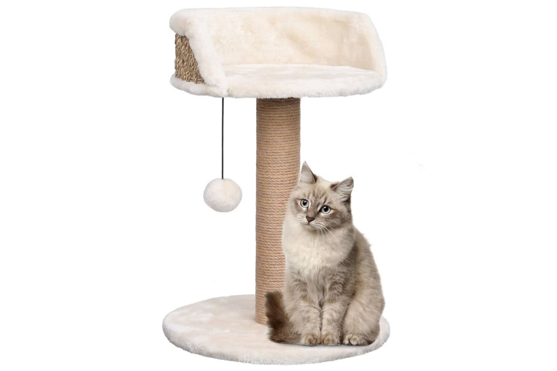 Kissan kiipeilypuu raapimispylväällä 49 cm meriheinä - Beige - Urheilu & vapaa-aika - Eläimille - Kissa - Kissojen kalusteet - Raapimispuu & kiipeilypuu