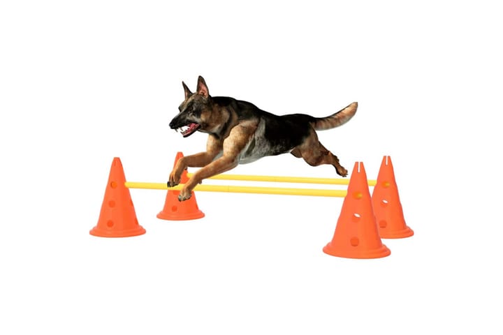 Koiran agilityestesarja oranssi ja keltainen - Oranssi - Koiran lelu & koiran pehmolelu