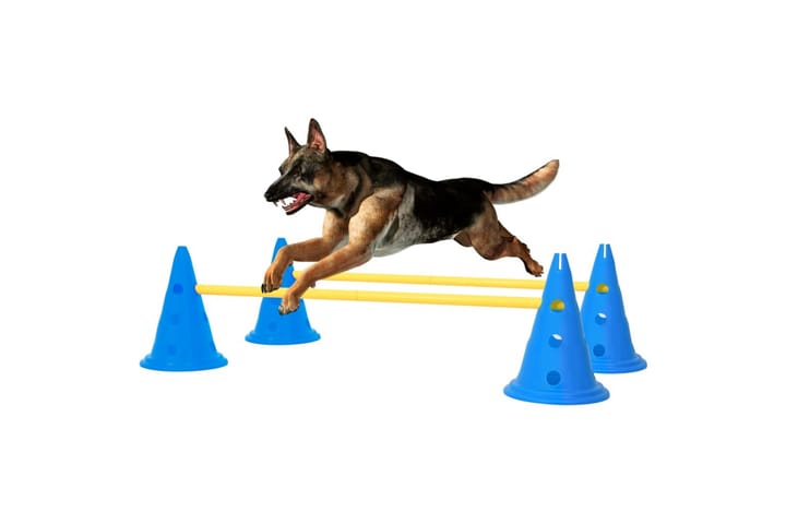 Koiran agilityestesarja sininen ja keltainen - Sininen - Koiran lelu & koiran pehmolelu