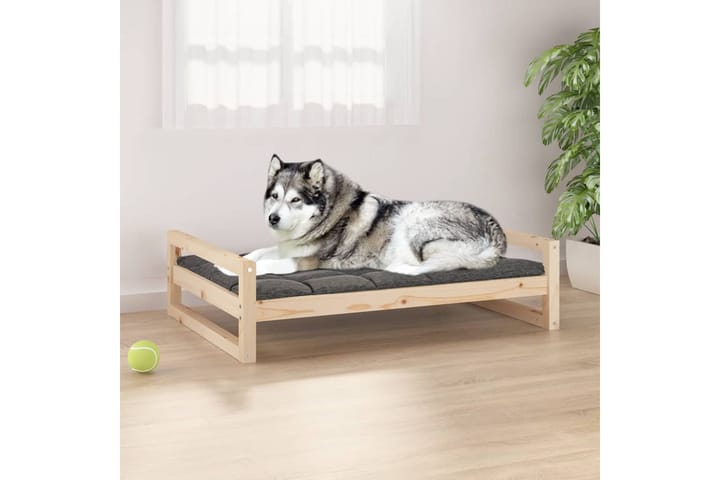 beBasic Koiransänky 105,5x75,5x28 cm täysi mänty - Ruskea - Koirien kalusteet - Koiran peti & koiran sänky