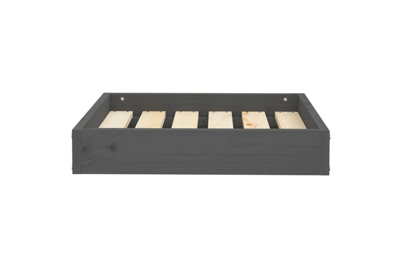 beBasic Koiransänky harmaa 51,5x44x9 cm täysi mänty - Harmaa - Urheilu & vapaa-aika - Eläimille - Koira - Koirien kalusteet - Koiran peti & koiran sänky