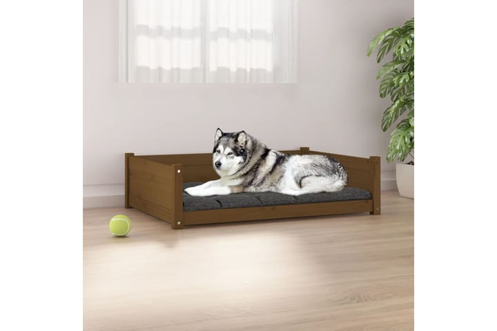 beBasic Koiransänky hunajanruskea 105,5x75,5x28 cm täysi mänty - Ruskea - Koiran peti & koiran sänky - Koirien kalusteet
