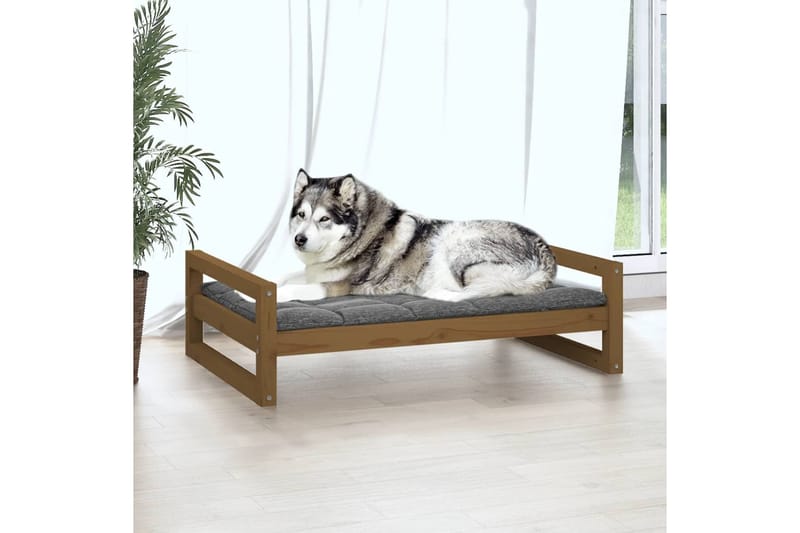 beBasic Koiransänky hunajanruskea 105,5x75,5x28 cm täysi mänty - Ruskea - Urheilu & vapaa-aika - Eläimille - Koira - Koirien kalusteet - Koiran peti & koiran sänky