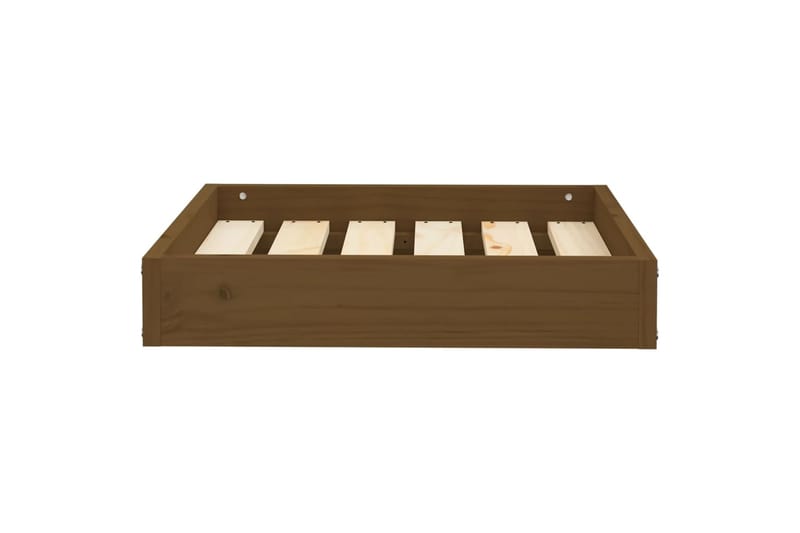 beBasic Koiransänky hunajanruskea 51,5x44x9 cm täysi mänty - Ruskea - Urheilu & vapaa-aika - Eläimille - Koira - Koirien kalusteet - Koiran peti & koiran sänky