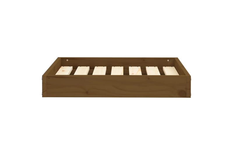 beBasic Koiransänky hunajanruskea 61,5x49x9 cm täysi mänty - Ruskea - Urheilu & vapaa-aika - Eläimille - Koira - Koirien kalusteet - Koiran peti & koiran sänky