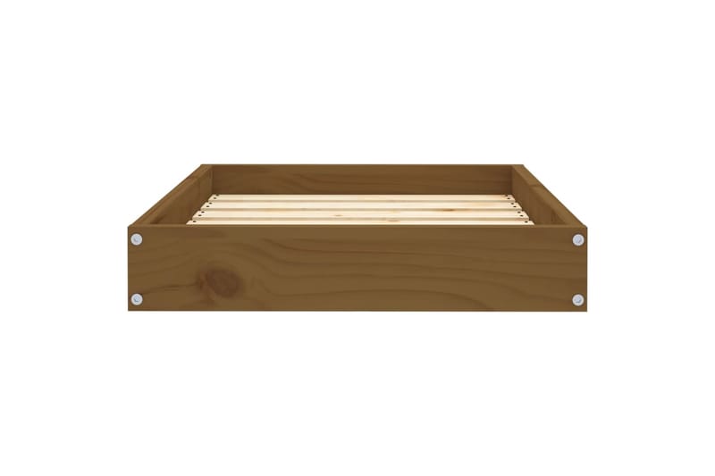 beBasic Koiransänky hunajanruskea 61,5x49x9 cm täysi mänty - Ruskea - Urheilu & vapaa-aika - Eläimille - Koira - Koirien kalusteet - Koiran peti & koiran sänky