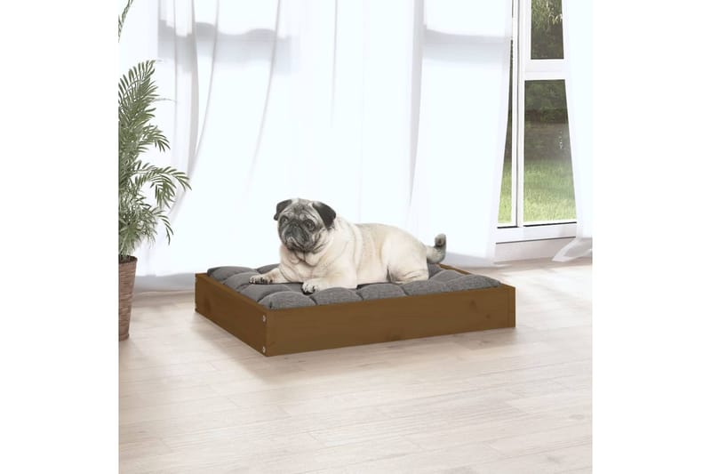 beBasic Koiransänky hunajanruskea 61,5x49x9 cm täysi mänty - Ruskea - Urheilu & vapaa-aika - Eläimille - Koira - Koirien kalusteet - Koiran peti & koiran sänky