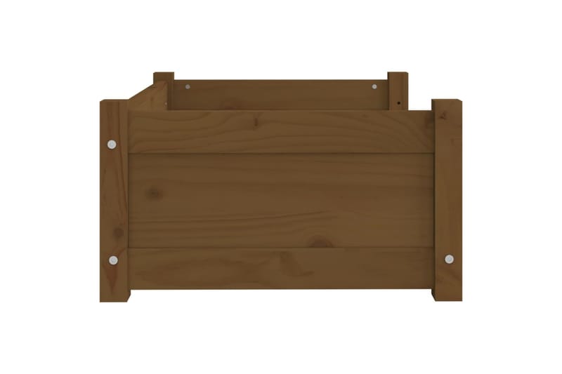 beBasic Koiransänky hunajanruskea 65,5x50,5x28 cm täysi mänty - Ruskea - Urheilu & vapaa-aika - Eläimille - Koira - Koirien kalusteet - Koiran peti & koiran sänky