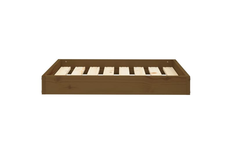 beBasic Koiransänky hunajanruskea 71,5x54x9 cm täysi mänty - Ruskea - Urheilu & vapaa-aika - Eläimille - Koira - Koirien kalusteet - Koiran peti & koiran sänky