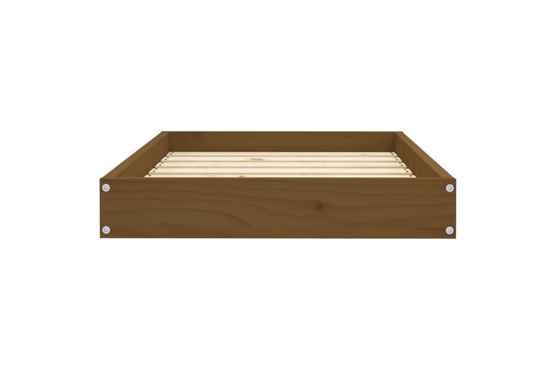 beBasic Koiransänky hunajanruskea 71,5x54x9 cm täysi mänty - Ruskea - Urheilu & vapaa-aika - Eläimille - Koira - Koirien kalusteet - Koiran peti & koiran sänky