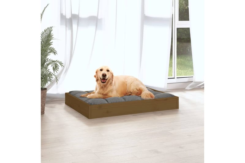 beBasic Koiransänky hunajanruskea 71,5x54x9 cm täysi mänty - Ruskea - Urheilu & vapaa-aika - Eläimille - Koira - Koirien kalusteet - Koiran peti & koiran sänky
