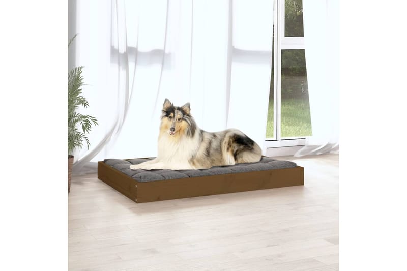 beBasic Koiransänky hunajanruskea 91,5x64x9 cm täysi mänty - Ruskea - Urheilu & vapaa-aika - Eläimille - Koira - Koirien kalusteet - Koiran peti & koiran sänky