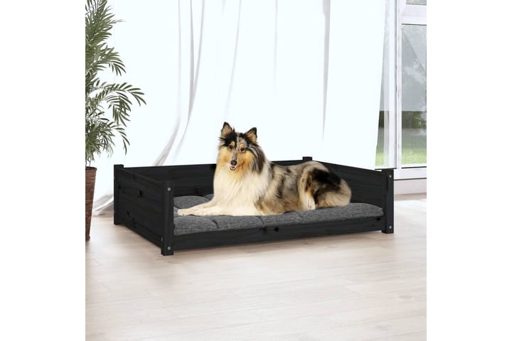 beBasic Koiransänky musta 95,5x65,5x28 cm täysi mänty - Musta - Koiran peti & koiran sänky - Koirien kalusteet
