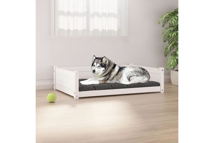 beBasic Koiransänky valkoinen 105,5x75,5x28 cm täysi mänty - Valkoinen - Koirien kalusteet - Koiran peti & koiran sänky