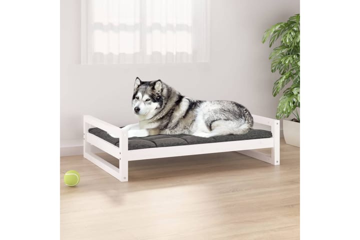 beBasic Koiransänky valkoinen 105,5x75,5x28 cm täysi mänty - Valkoinen - Koirien kalusteet - Koiran peti & koiran sänky