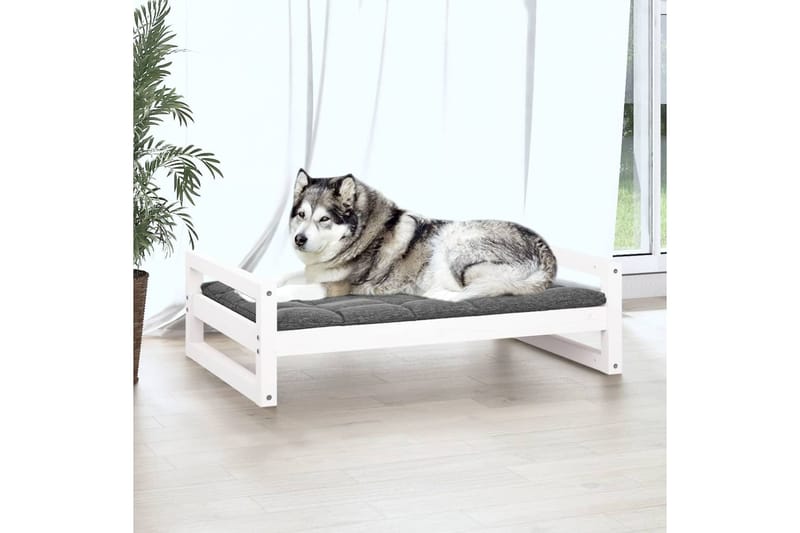 beBasic Koiransänky valkoinen 105,5x75,5x28 cm täysi mänty - Valkoinen - Urheilu & vapaa-aika - Eläimille - Koira - Koirien kalusteet - Koiran peti & koiran sänky