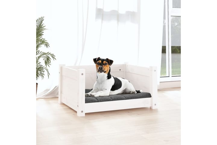 beBasic Koiransänky valkoinen 55,5x45,5x28 cm täysi mänty - Valkoinen - Koiran peti & koiran sänky - Koirien kalusteet