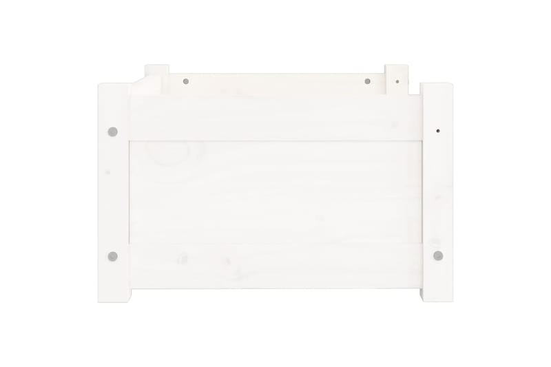 beBasic Koiransänky valkoinen 55,5x45,5x28 cm täysi mänty - Valkoinen - Urheilu & vapaa-aika - Eläimille - Koira - Koirien kalusteet - Koiran peti & koiran sänky