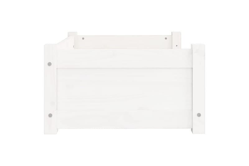 beBasic Koiransänky valkoinen 65,5x50,5x28 cm täysi mänty - Valkoinen - Urheilu & vapaa-aika - Eläimille - Koira - Koirien kalusteet - Koiran peti & koiran sänky