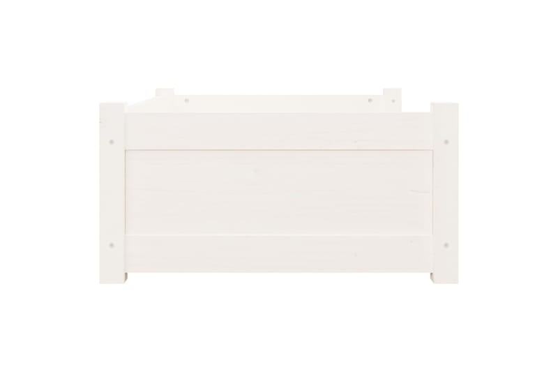 beBasic Koiransänky valkoinen 75,5x55,5x28 cm täysi mänty - Valkoinen - Urheilu & vapaa-aika - Eläimille - Koira - Koirien kalusteet - Koiran peti & koiran sänky
