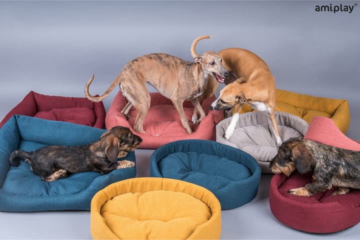 Koiranpatja Montana 78x65x10 cm Keltainen - Amiplay - Koiran viltti & makuualusta - Koiran peti & koiran sänky - Koirien kalusteet