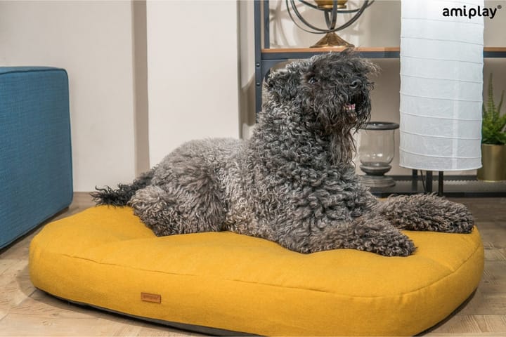 Koiranpatja Montana 78x65x10 cm Keltainen - Amiplay - Koiran viltti & makuualusta - Koiran peti & koiran sänky - Koirien kalusteet