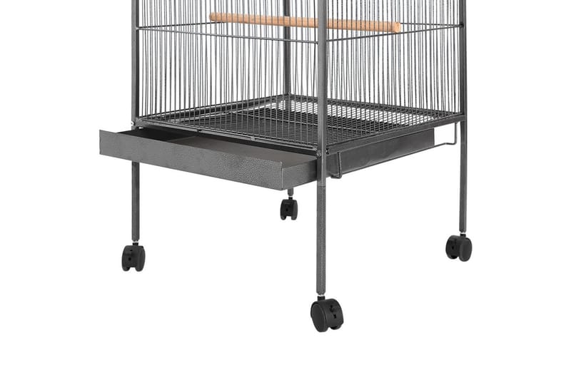Lintuhäkki musta 54x54x146 cm teräs - Musta - Urheilu & vapaa-aika - Eläimille - Lintu - Lintuhäkki & ulkohäkki linnulle