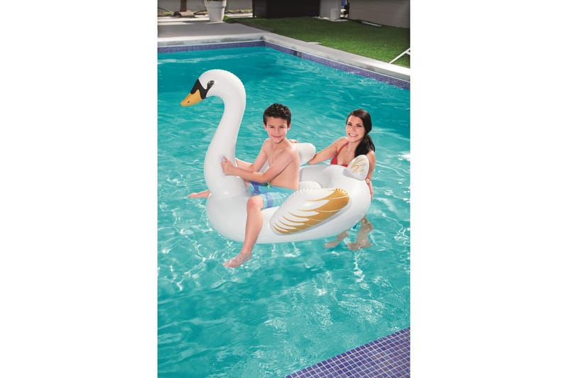 Kylpylelu Planet Pool Swan - Piha & ulkoaltaat - Uima-allas, poreallas & sauna - Uima-allastarvikkeet & poreallastarvikkeet - Uima-allaslelut