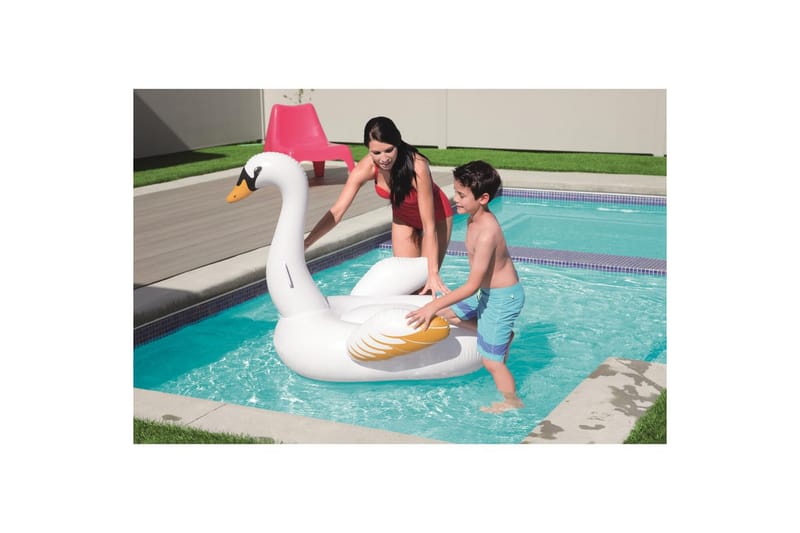 Kylpylelu Planet Pool Swan - Piha & ulkoaltaat - Uima-allas, poreallas & sauna - Uima-allastarvikkeet & poreallastarvikkeet - Uima-allaslelut