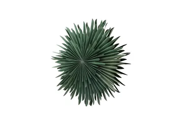 Sälen Adventtitähti / Joululamppu 60 cm - Vihreä - Valaistus - Jouluvalaistus - Joulutähti