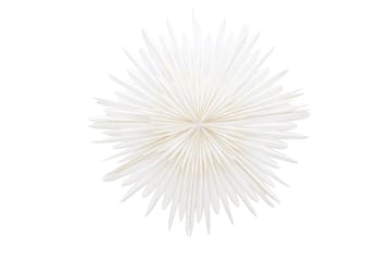 Sälen Adventtitähti - Valkoinen - Valaistus - Jouluvalaistus - Joulutähti