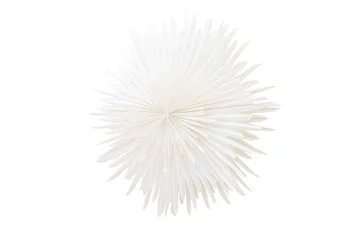 Sälen Adventtitähti / Joululamppu 100 cm - Valkoinen - Valaistus - Jouluvalaistus - Joulutähti