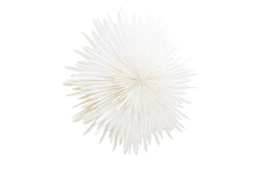 Sälen Adventtitähti / Joululamppu 100 cm - Valkoinen - Valaistus - Jouluvalaistus - Joulutähti