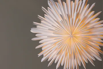 Sälen Adventtitähti / Joululamppu 60 cm - Valkoinen - Valaistus - Jouluvalaistus - Joulutähti