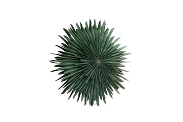Sälen Adventtitähti / Joululamppu 60 cm - Vihreä - Valaistus - Jouluvalaistus - Joulutähti