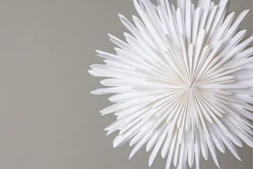 Sälen Adventtitähti / Joululamppu 60 cm - Valkoinen - Valaistus - Jouluvalaistus - Joulutähti