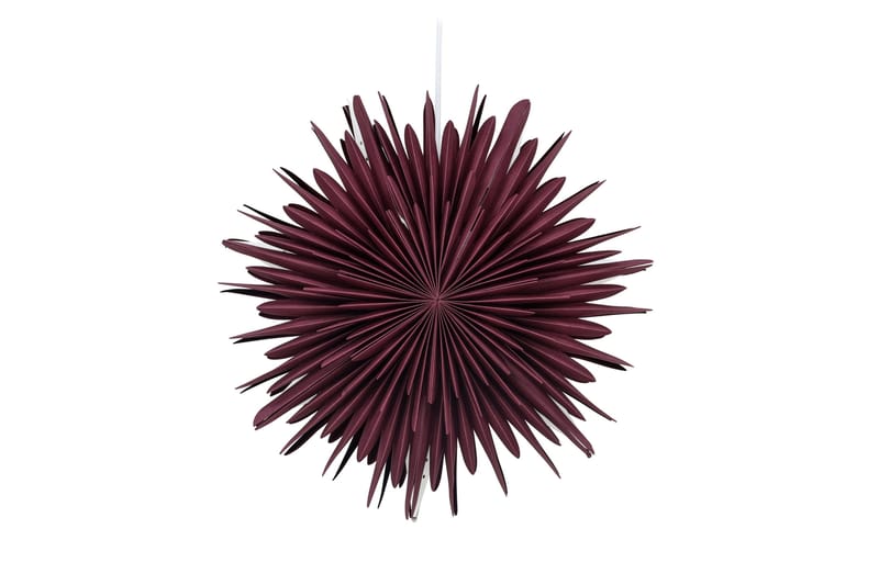 Sälen-adventtitähti, undefined
