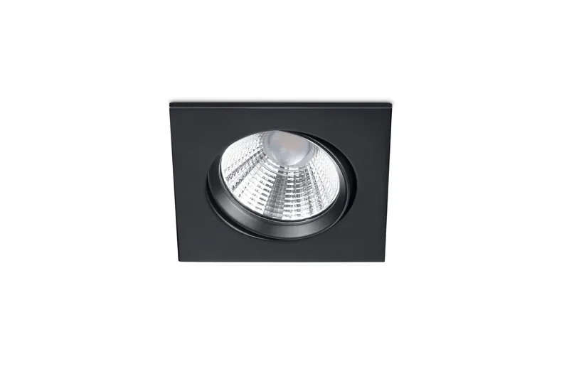 LED-Alasvalo Pamir Mattamusta, TRIO