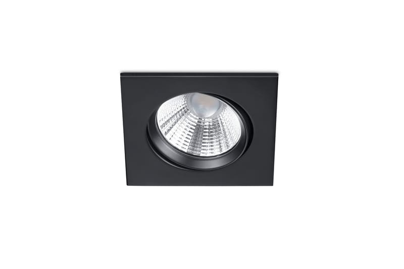 LED-Alasvalo Pamir Mattamusta, TRIO