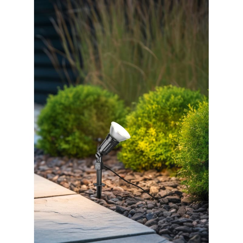 Spotti Caceres - Valaistus - Hehkulamppu & polttimo - LED-valaistus - LED-kohdevalo