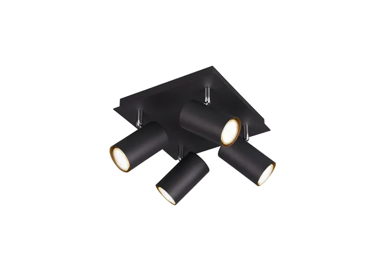 Kattospotti Marley Mattamusta, TRIO