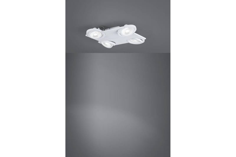 LED-spottilamppu Eglo Brea Valkoinen - Valkoinen - Valaistus - Hehkulamppu & polttimo - Spottivalaisin & alasvalo - Kohdevalo kisko