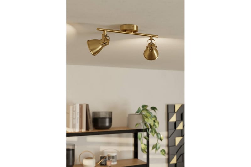 Spotlight Eglo Seras 2 lampulla, harjattu messinki/kultainen - Messinki/Kulta - Valaistus - Hehkulamppu & polttimo - Spottivalaisin & alasvalo - Kattospotti