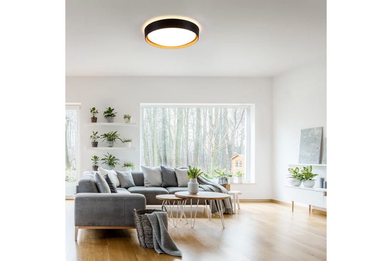 Emilia Just Light Kattovalaisin - Valaistus - Sisävalaistus & lamput - Erikoisvalaisin - Tiffanylamppu