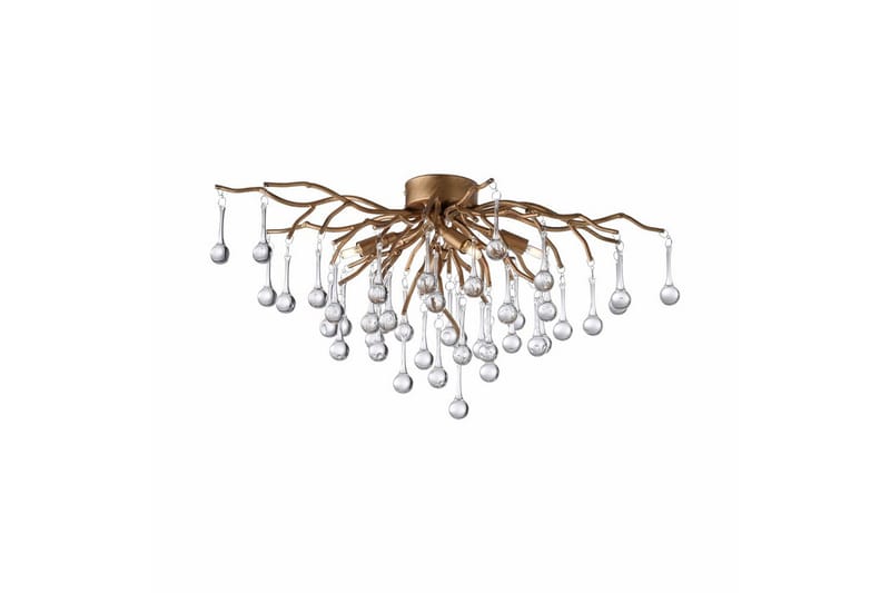 Istapp Paul Neuhaus Kattovalaisin, undefined