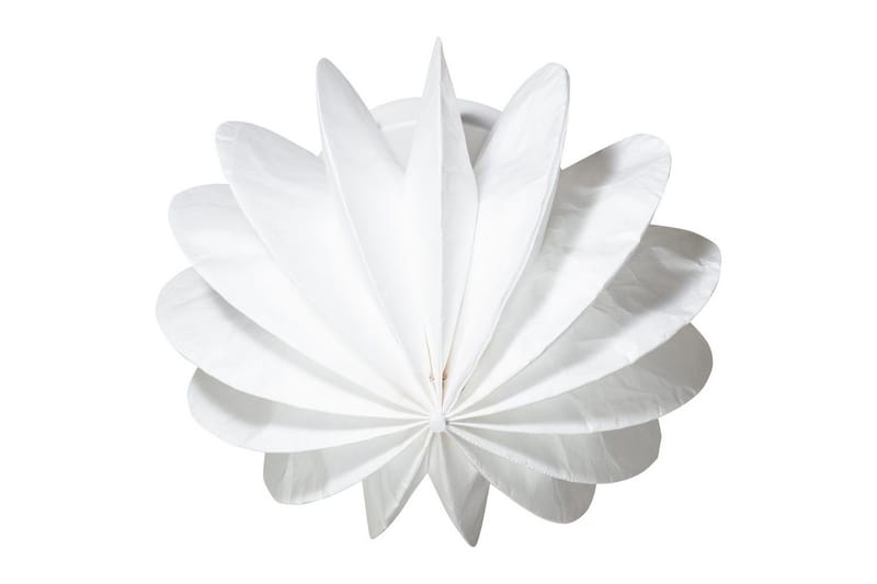 Katto-/Seinävalaisin Dalia - Valaistus - Sisävalaistus & lamput - Erikoisvalaisin - Tiffanylamppu