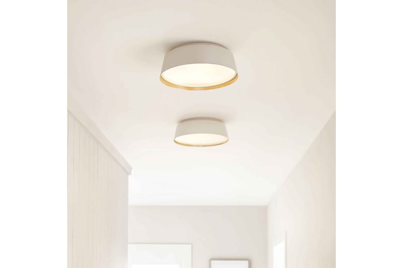 Kattopinta-asennus Feiss Asher Mattavalkoinen ja kulta - Mattavalkoinen ja kulta - Valaistus - Sisävalaistus & lamput - Erikoisvalaisin - Tiffanylamppu